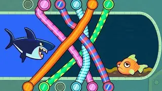 Save The Fish - All New Levels Gameplay Android, iOS Rescue Games