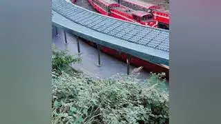 3 days tour in Alishan Mountain in Chaiyi