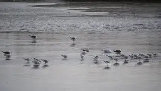 Walking Around King&rsquo;s Mill Reservoir