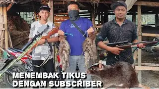 Penembakan Hama Tikus Sawah || Menembak Tikus Menggunakan Senapan Angin Rotari Di kandang ayam