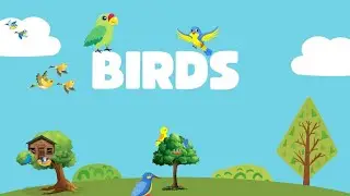 birds name , learn birds name . educational channel