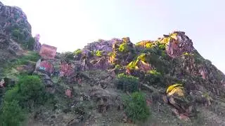 FPV-MARKOS TOWERS