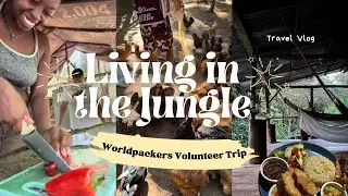 COSTA RICA TRAVEL VLOG PART 1 | missed flight, working on a farm w/ Worldpackers, intentional travel