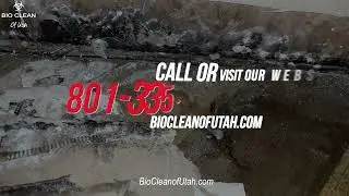 Turning Ashes into New Beginnings: Fire & Smoke Damage Cleanup Steps 🔥🧹 | Bio Clean of Utah