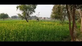 Beautiful village vlog, beautiful city jampur, janubi munday