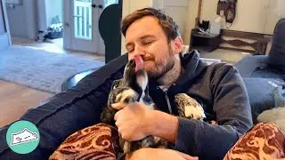 Lonely Dog Falls In Love With Man At First Sight | Cuddle Buddies