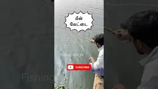 Fish Hunting #fish #fishing #viralvideo #shortsfeed#shorts#trending#beach #tamilfishing