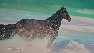 El poder sanador de los caballos en Mystika, una experiencia sensorial &uacute;nica en un viaje inmersivo.