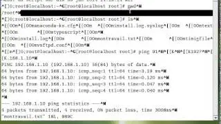 Linux 