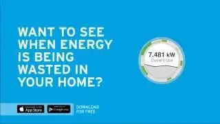 DTE Insight App and the Energy Bridge