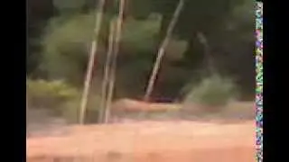 Peraltada