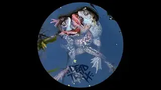 Lo Chi -- Dead Man's Switch
