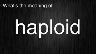 What's the meaning of 