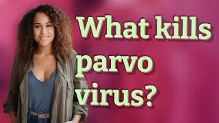 What kills parvo virus?