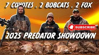 Predator Hunting A Tournament