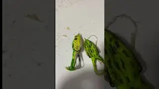 Cheap vs expensive prop frog which is better?😕😕🧐🧐