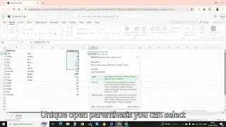 =UNIQUE () Function in Microsoft Excel & Google Sheets.