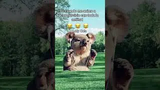 #contodalaactitud 🥴🥴🫩🤭😹🤣 #ia #humorviral #youtubeshorts