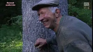 Lorenzo Pellegrini, le cueilleur d'arbres. [HD 1080p]