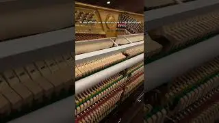 Upright Piano Young Chang Y131 Made in Korea #piano #pianocover #music