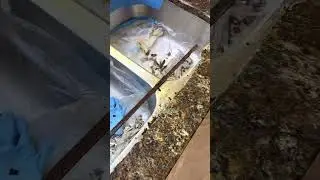 GRANITE CRACK REPAIR