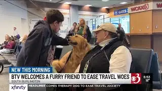 Burlington airport welcomes therapy dog to ease travel anxiety