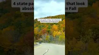 You have take this Fall foliage in Upstate New York Road trip😀 #fallfoliage