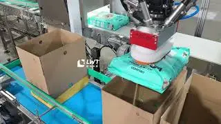Spider Robot Case Packer for 4kg Bagged Pet Dry Food