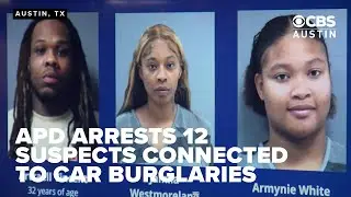 Austin police arrest 12 in connection with park car burglaries