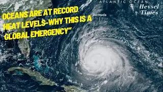 Oceans are at Record Heat Levels-Why this is a Global Emergency 