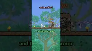how LIFESTEAL actually works in terraria