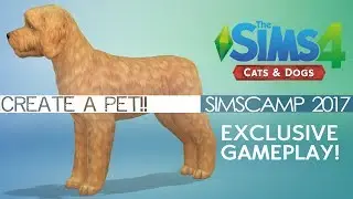 The Sims 4 CATS AND DOGS - Create a pet hands on!