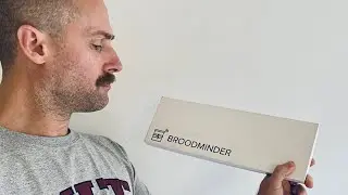 Spying on Bees with Broodminder