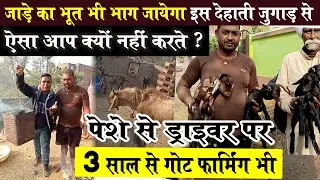 मिलए GAYA BIHAR के GOAT FARMING कर रहे बकरी पालक से🐐ठंडे में कमाल का जुगाड़ बनाया अपने बकरियों के लिए