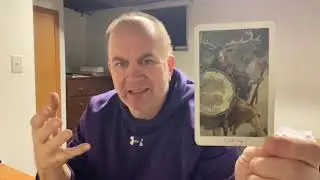 The Spirit's Path The Stag: Embracing Justice, Change, and Spiritual Power