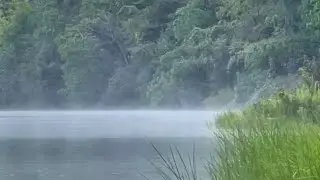 &iquest;LA VACA MARINA ES REAL? P.2