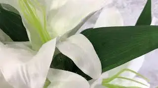 букет лилии белый