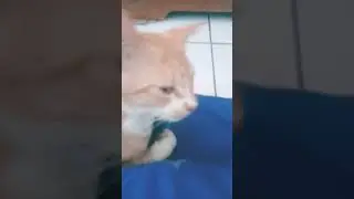 私のカテエエエエエエエエエエエエエエエエエエエエエエエエエエエエエエエエエエエエエエエエエエエエエエエエエエエエエエエエエエエエエエエエエエエエエエエエエ