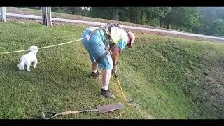 Planting Junipers on a Steep Hillside