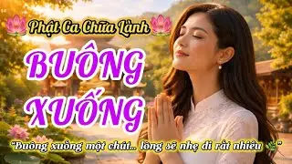 Buông Xuống Cho Nhẹ Lòng – Phật Ca Chữa Lành 🌿 Nghe Để Tâm An | #phatca#phatcachualanh#nhacphat.