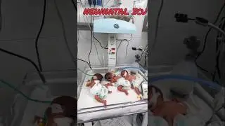 Neonatal ICU. #neonatal #icu #shortsviral #shortsfeed #shortvideo #shorts #short #baby #hospital