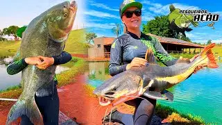 DIAS FRIOS, TRINTADA E MUITOS PEIXES DE COURO NO PRIMAVERA