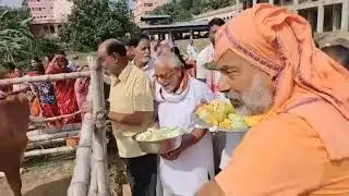 Beloved Srila Gurudev doing Gau Pooja on Govardhan Puja | Mayapur Dham | 14 Nov 2023