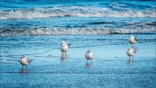 Water sounds to relax or sleep