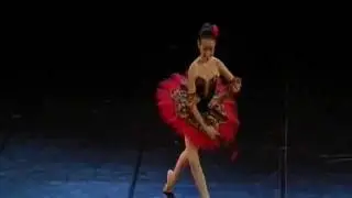 Professione Danza