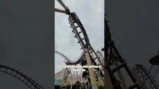cobra @walibibelgium #themepark #funtime #coaster #amusementpark #amusement #reels #cobra #walibi