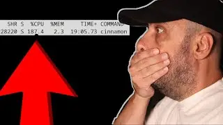 Fix High cpu usage in Cinnamon and Linux NOW.