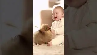 Funny babies play with the cuteness dog. 