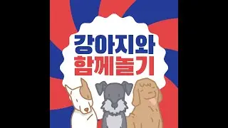 강아지와 함께놀기