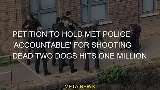 #Petition #e-petitions #hits #Metropolitan #Police #shooting #dogs #Dogs #Breaking #hold #million #N